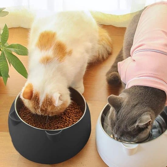400 ml rustfrit stål kattefoder - Multifunktionel hunde- og kattevandskål - 15