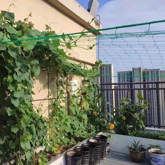 Grönt 1,8m x 3,6m Tomat- och Gurkklätternät och Växtstöd