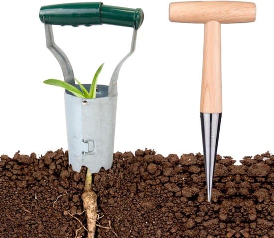 Langhåndet have-løgplanter og omplantningsværktøj i rustfrit stål