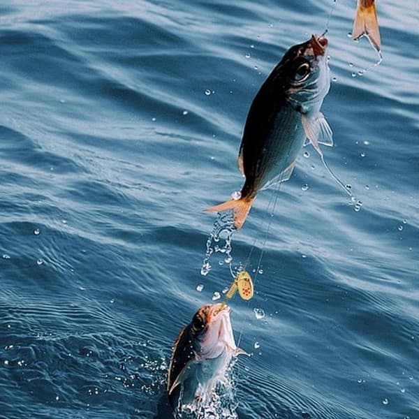 Fiskemadding, 10 agn, 6,3 cm lang, lavet af metal.