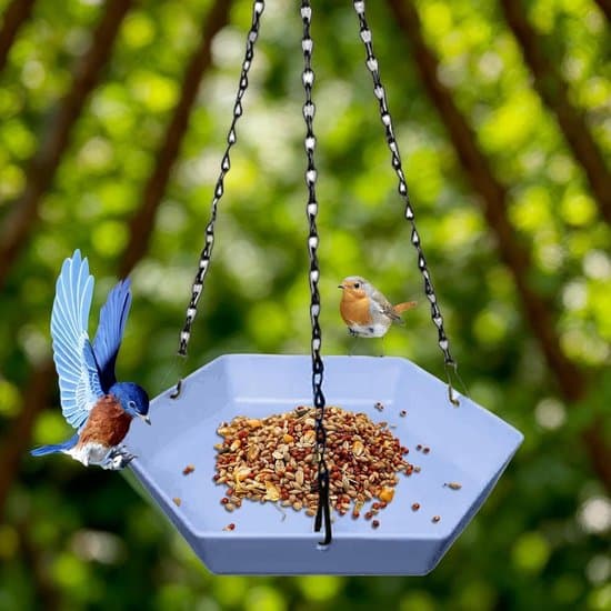 Fuglefoderbræt - Udendørs foderbræt - Fuglefodring - Fuglebad og foderbræt kombination - 24 cm bred - Brun