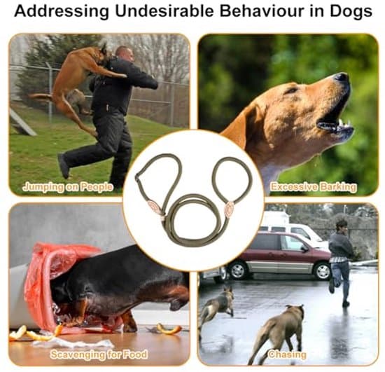 Hundkoppel - infällbart dragstopp - 180 cm långt