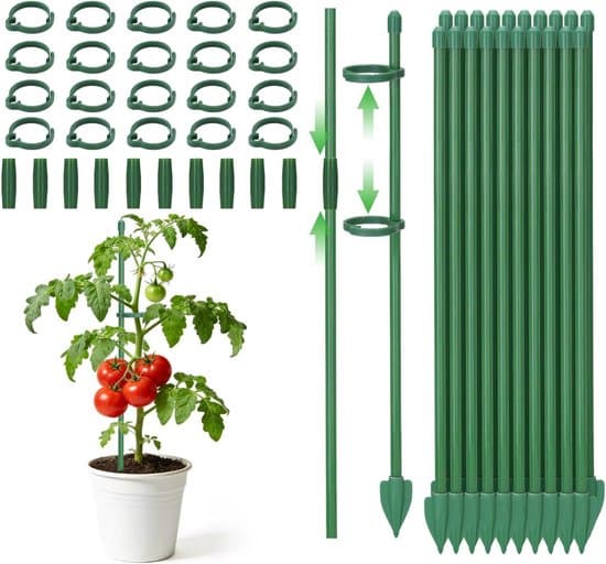 Växtstöd - Växtstöd - Stöd växter - Set om 20 - 30 cm - Grön