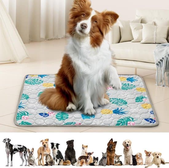 Hundespecifik kølemåtte -70x55 cm -Grå -Plus size