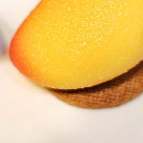 Silikonebageform - Chokolademousse - Dessertfremstilling - Formbevarende - 10 hulrum - Orange