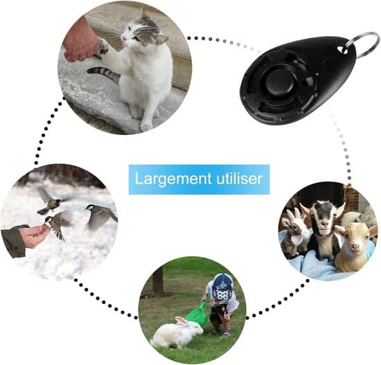 2-pak hundetræningsklikker med elastisk håndledsrem, professionel, til hunde/katte (sort+cyan)