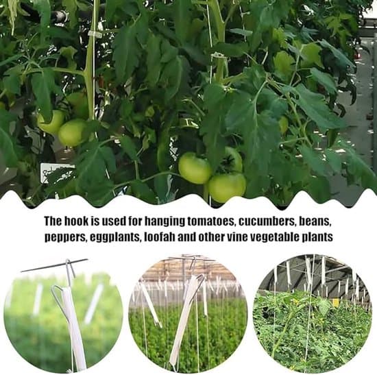 Robust og holdbart tomatkrogsæt med planteklemmer og reb