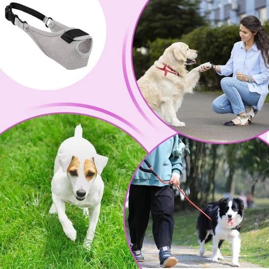 XL Justerbar Grå Åndbar Mesh Hundemunding