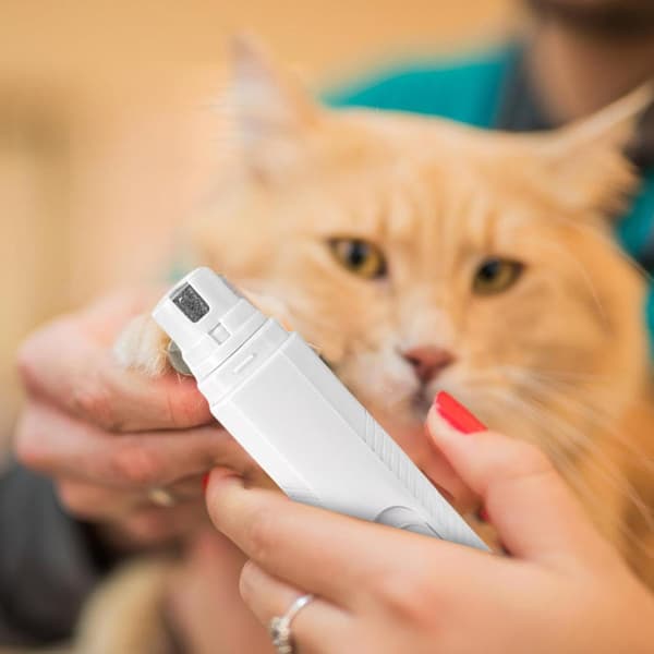 Kattnagelfil, LED-kattnagltrimmer - vit