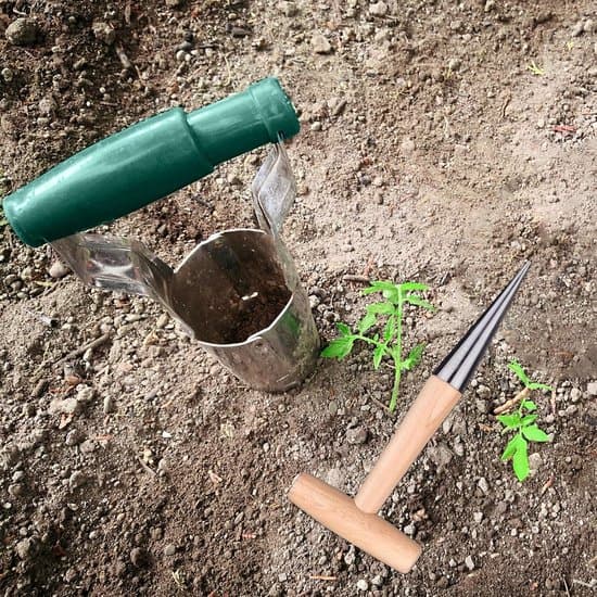 Langhåndet have-løgplanter og omplantningsværktøj i rustfrit stål