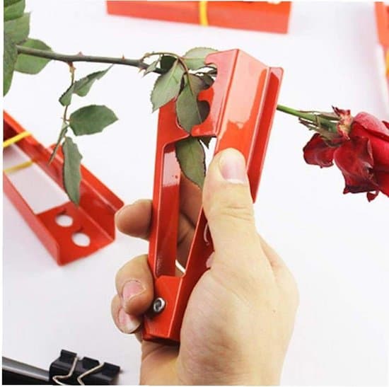 Rosen tornfjerner - blomsterhandler værktøj - højeffektiv tornfjerner - 14 cm lang