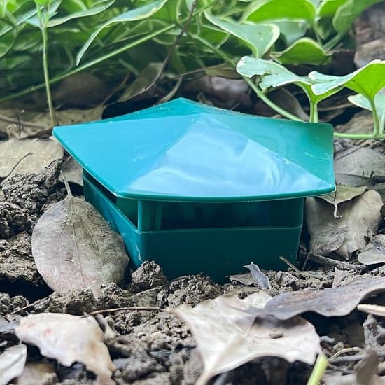 6-pack plastölbox snigel- och snigelburar för trädgårdar och gårdar - Grön