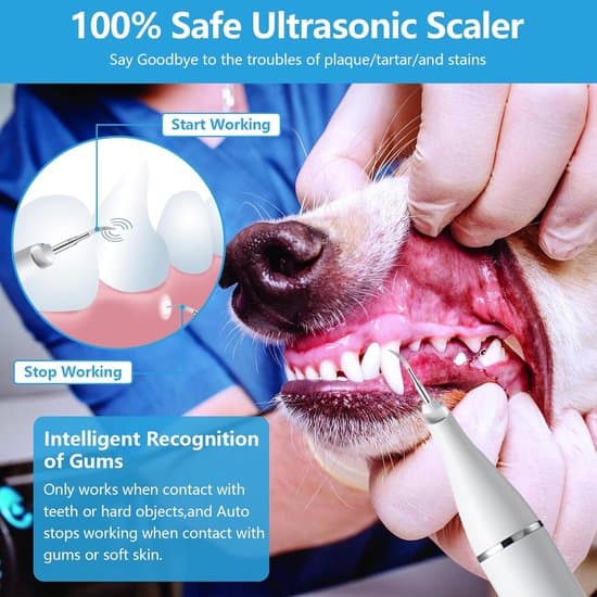 Plaque Remover til hunde og katte - 5 indstillinger - Hvid