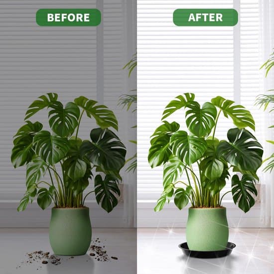 Planteunderfad - Plastbakke - 5 Sorte Urtepotter - 30cm - Velegnet til Urtepotter