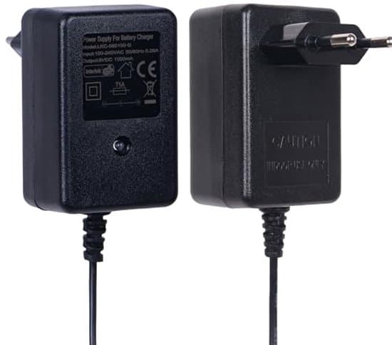 6V Oplader til Elektriske Legetøjsbiler - Batterioplader til Børn