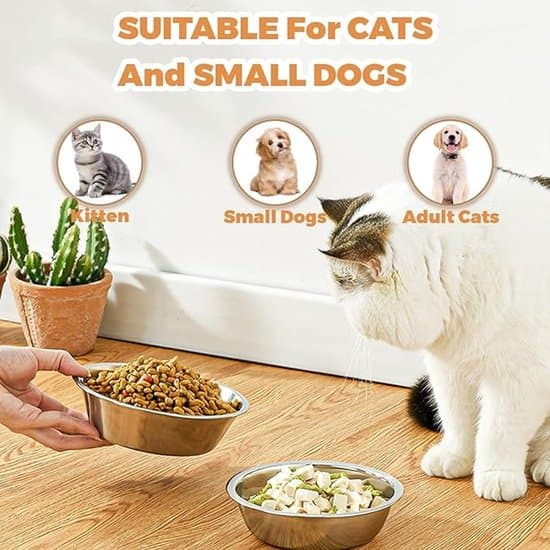 2-pak madskåle i rustfrit stål til hunde og katte - 5,5 tommer