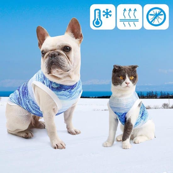 Blå XL Åndbar Kølevest/jakke til hunde