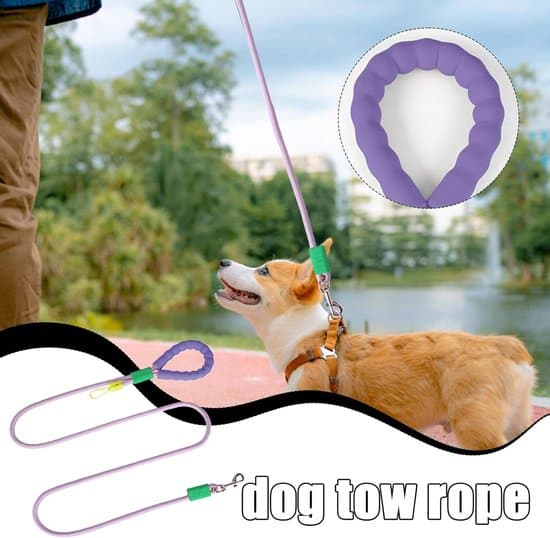 Koppel - med integrerat halsband - 145 cm - diameter 1 cm - Blå