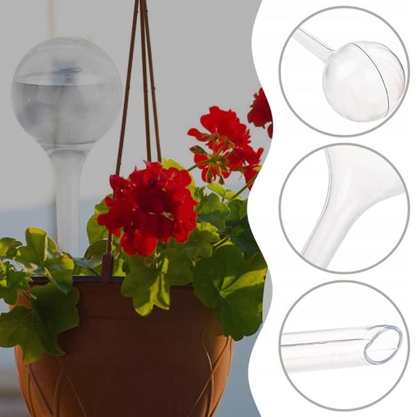 Vattenkula för hushåll för blommor och växter, 8-pack
