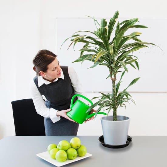 Planteunderfad - Plastbakke - 5 Sorte Urtepotter - 30cm - Velegnet til Urtepotter