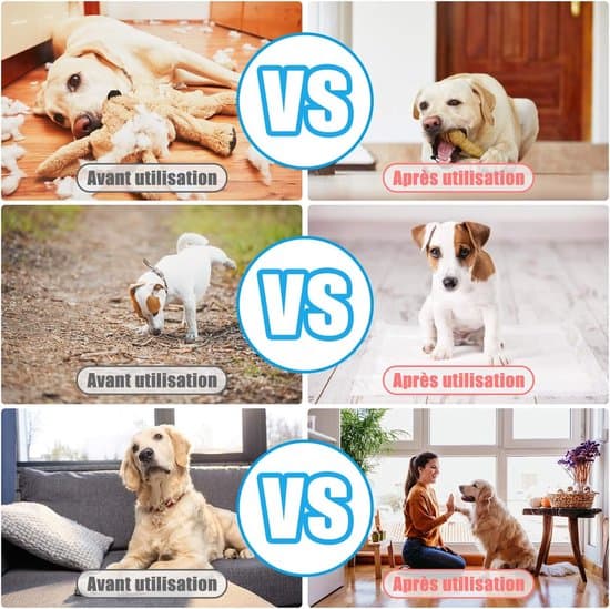 2-pack hundklickare, elastisk handledsrem, stor knapp, professionell tränare (blå+röd)