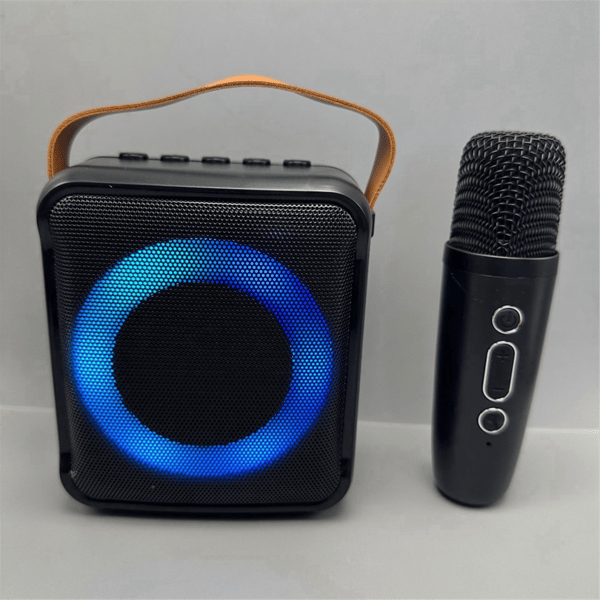 Multifunktionell bärbar Bluetooth-högtalare med 2 mikrofoner