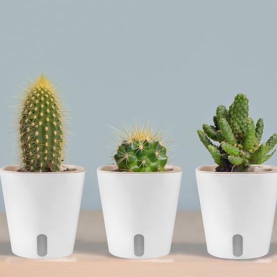 Självvattnande blomkrukor - med bevattningssystem - 10 stycken