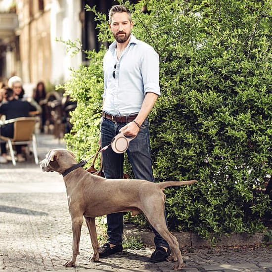 Infällbart hundkoppel med broms och lås - 360° trasselfri nylonväv