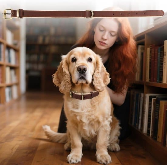 Enkelt hundhalsband, slitstarkt mjukt material med kontrastfoder, grå, XS