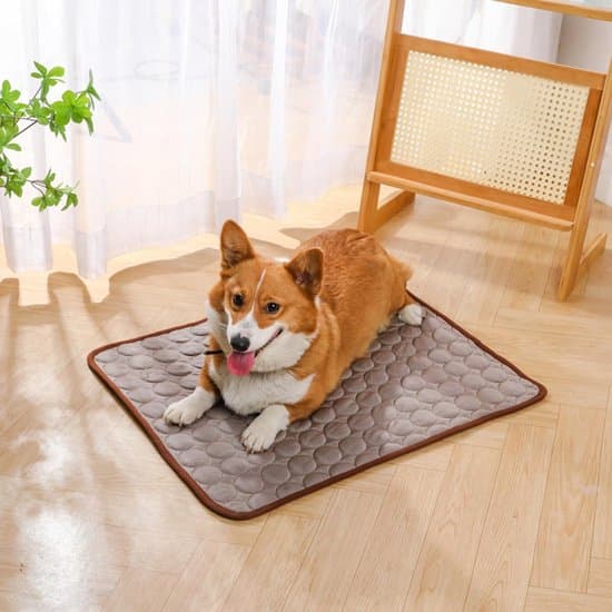 100x75 cm Blå Holdbar Kølemåtte og Tæppe til Hunde og Katte