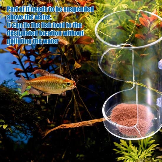 - Akvariefoderautomat med sugekopper til skildpadder og rejer 10x6cm