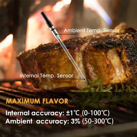 Trådlös grilltermometer - Grilltermometer med app - Ugnstermometer - Grillpryl