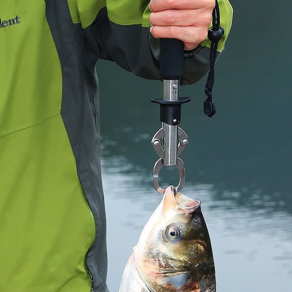Professionel fiskeskælsstander i rustfrit stål