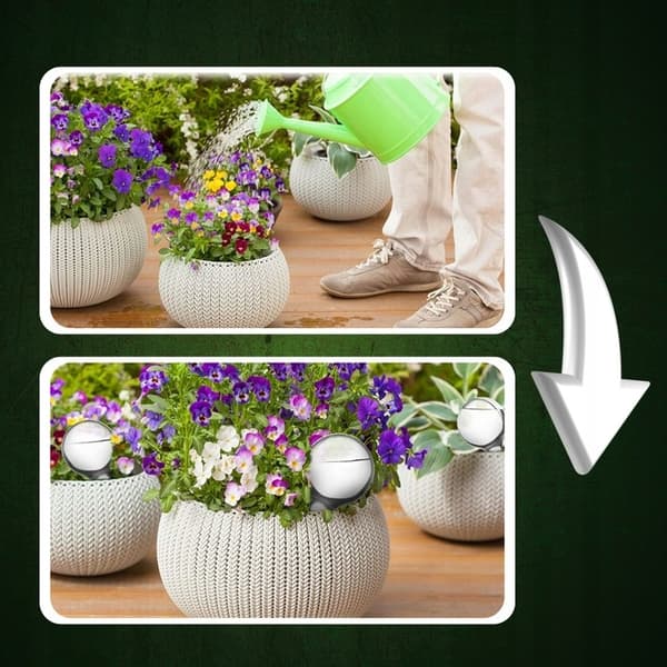 Vattenkula för hushåll för blommor och växter, 8-pack