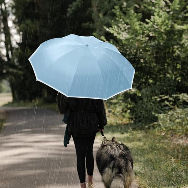 Automatisk foldbar parasol - 10 ribber - blå