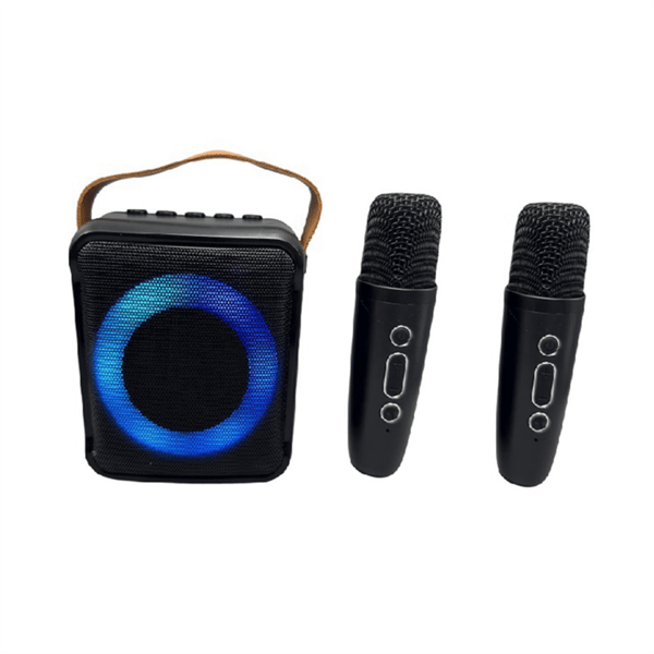 Multifunktionell bärbar Bluetooth-högtalare med 2 mikrofoner