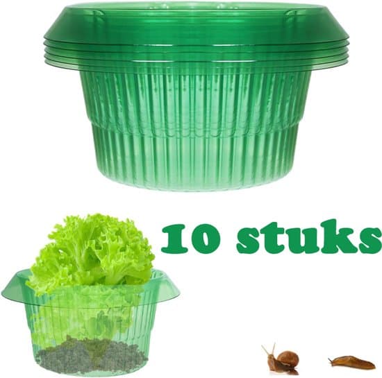 10-pack gröna växtsnigelskyddsringar/skydd