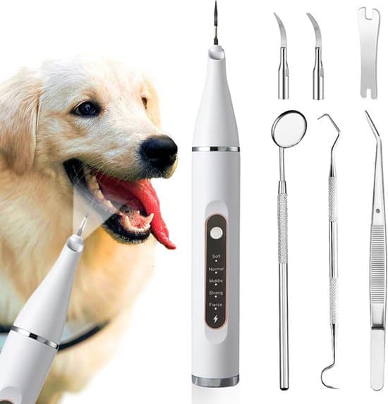 Plaque Remover til hunde og katte - 5 indstillinger - Hvid