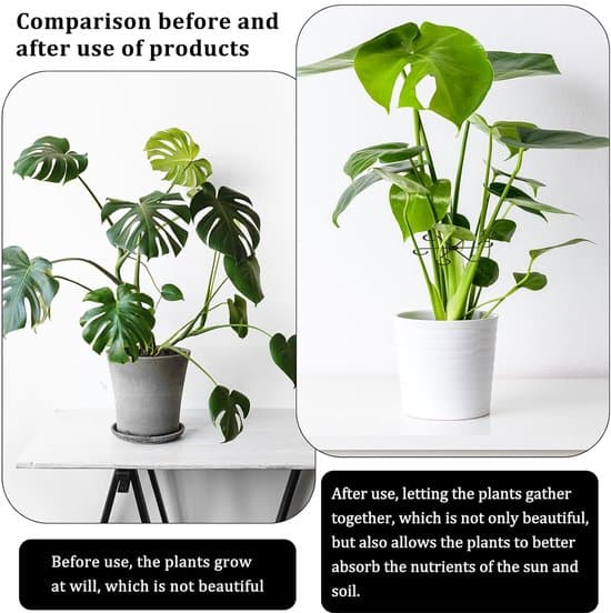 Plantestøtter til blomster og planter - 20 stk. - Sort