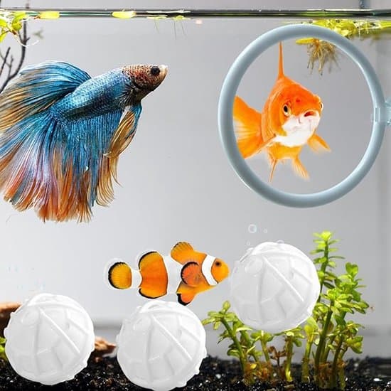 Akvariefoderringar - 5-delat set - Flytande akvariefoderringar - Bettafiskträningsringar - Akvarium - Foderautomater - Akvarietillbehör