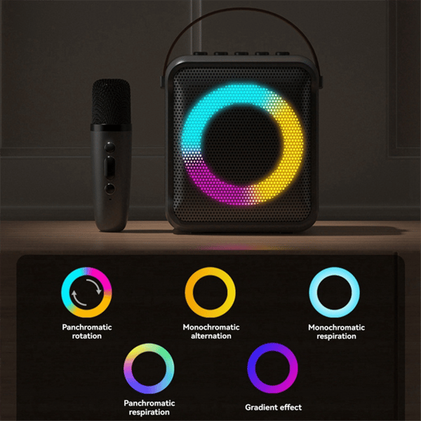 Multifunktionel bærbar Bluetooth-højttaler med 2 mikrofoner