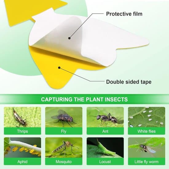 24-pack - Flugpapper - Fruktflugfällor - Växtflugfällor - Inomhus & Utomhus Allmänna Flugfällor - Gul
