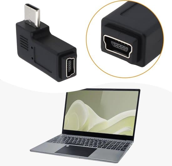 2-ports USB-C han til Mini USB hun adapterkonverter - sort