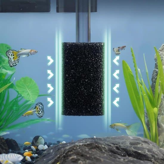 Fejeslange dele - Udstødningsrør svamp og slidring til poolrobot