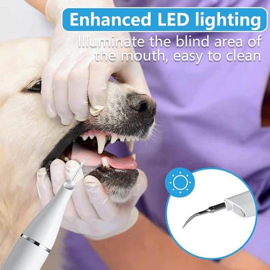 Plaque Remover til hunde og katte - 5 indstillinger - Hvid
