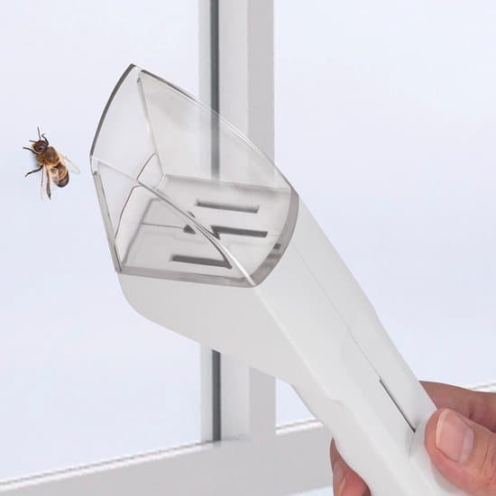 Inomhusfällor och observationslåda för insekter/spindlar/flugor/getingar