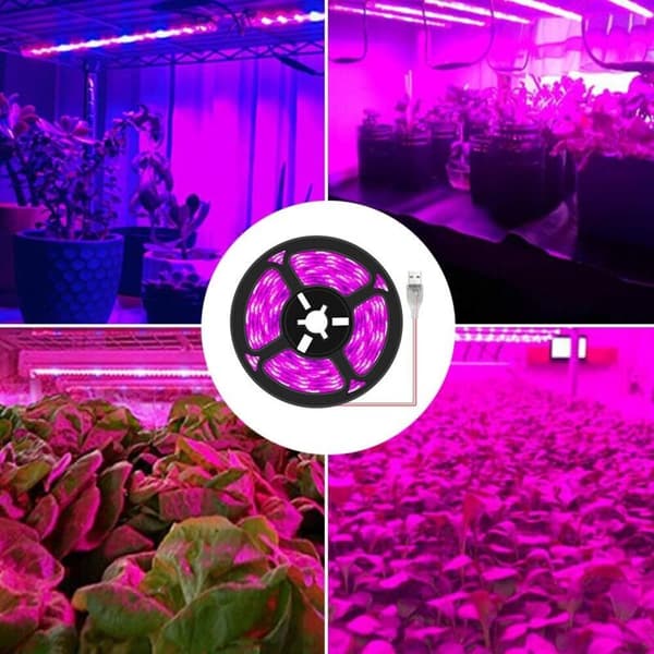 Vinter Rød og Blå Spektrum Plantegroe Lys E27 300 Perler