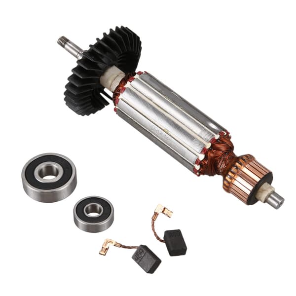 220-240V AC motorrotorbyte