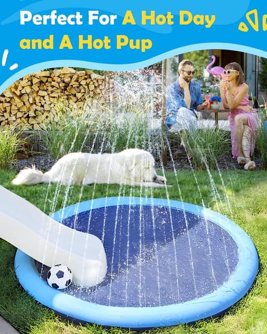 Hundpool, vattensprutmatta och plaskdamm, 67 tum, blå