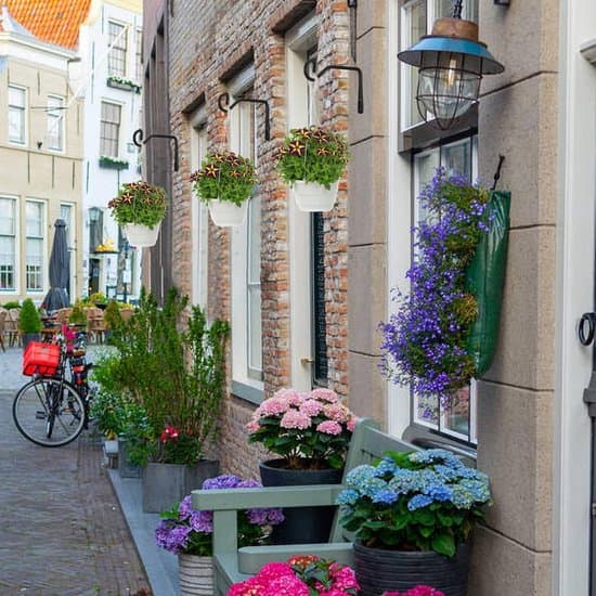 2 hængekurvsholdere, vægkrog, støttekrog til planter, urtepotter, have, fuglefoderbræt, lanterner